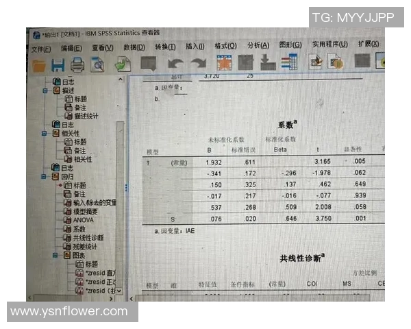 武汉排球队力量表现数据分析与战术优化研究